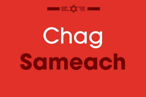 6033 MDA E Cards Basics Chag Sameach