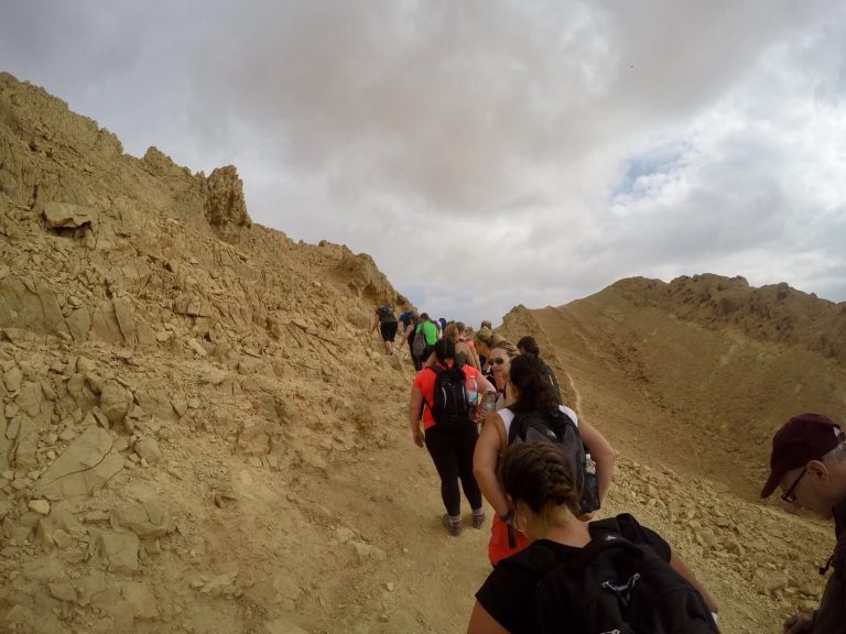 Trek 2017